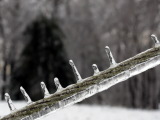 Icicles